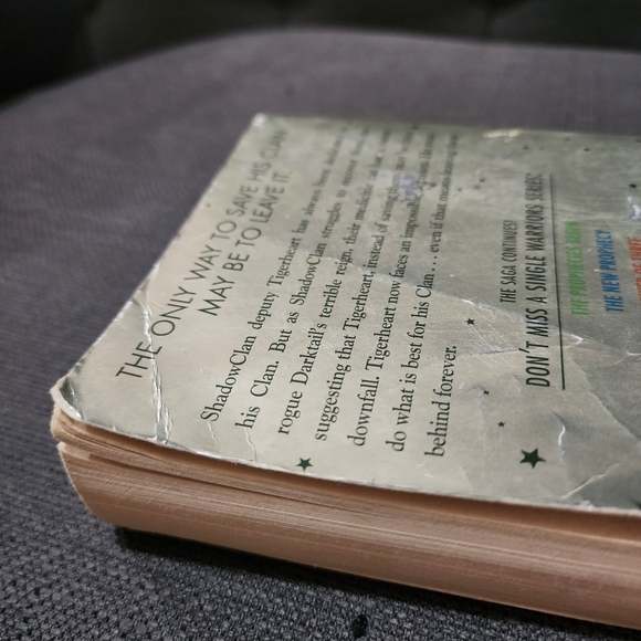 Warriors: Super Edition Tigerheart's Shadow - Picture 12 of 12